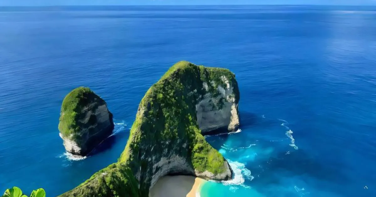 Yogi Trails N Transcendence Pvt Ltd