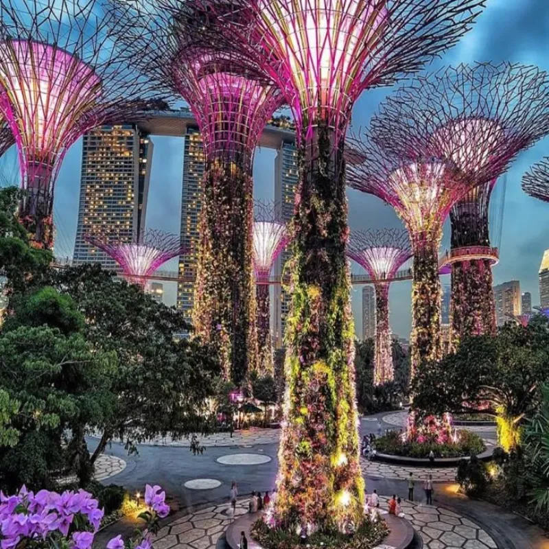 INTERNATIONAL TOUR PACKAGES