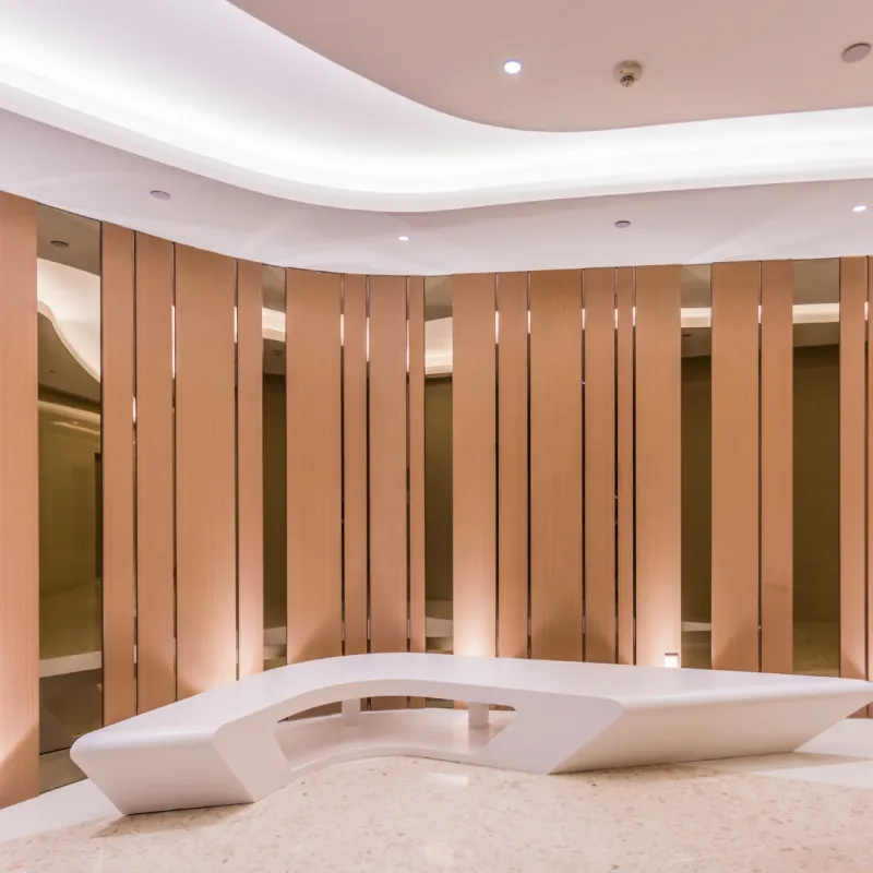  Designer Wall Cladding